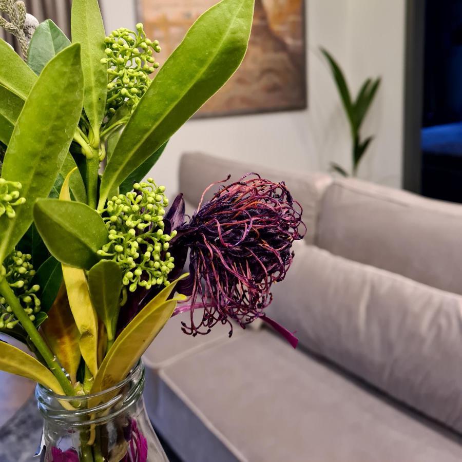 Stay In Kaunas & Park House Ngoại thất bức ảnh